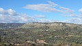 DSCN0207