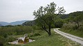 DSCN2223