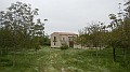 DSCN2226