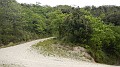 DSCN2236
