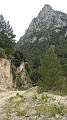 DSCN2253