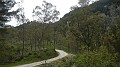 DSCN2276