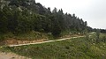 DSCN2291