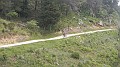 DSCN2292