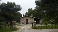 DSCN2300