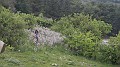 DSCN2302