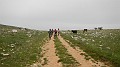 DSCN2311