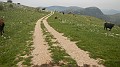 DSCN2316