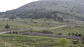 DSCN2341