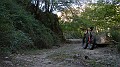 DSCN7878