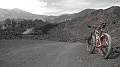 DSCN5355