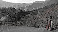 DSCN5356