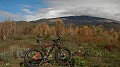 DSCN5601
