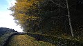 DSCN5607