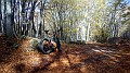IMG_20161105_120500