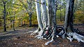 IMG_20161110_130301