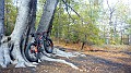 IMG_20161110_130316