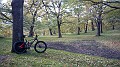 IMG_20161110_131626