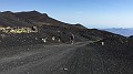 IMG_3544