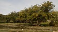 DSCN2880