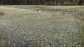DSCN2881