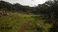 DSCN2885