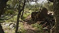 DSCN2890