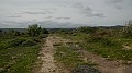 DSCN2894