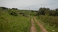DSCN2896