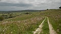 DSCN2904