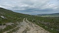 DSCN2906