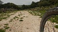 DSCN2912