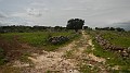 DSCN2915
