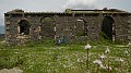 DSCN2921