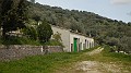 DSCN2923
