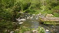 DSCN2928