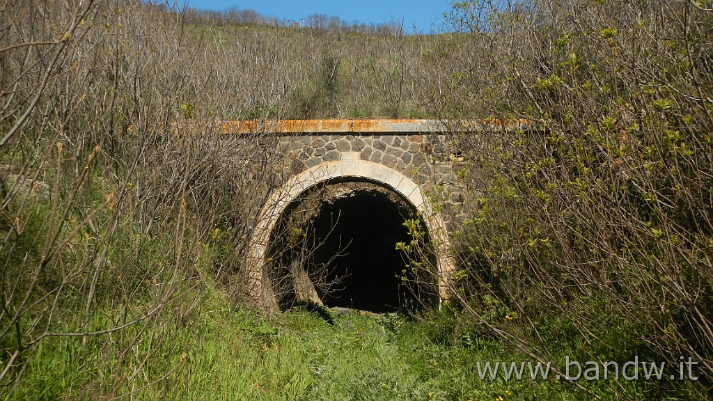 DSCN4620.JPG - Vizzini Exploring