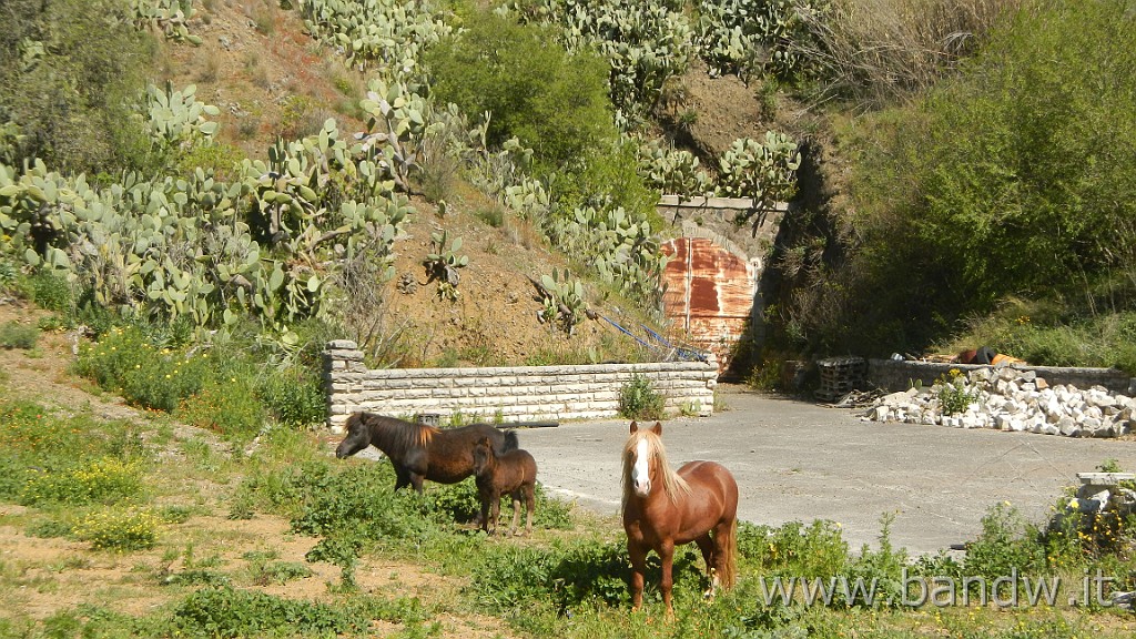 DSCN4625.JPG - Vizzini Exploring