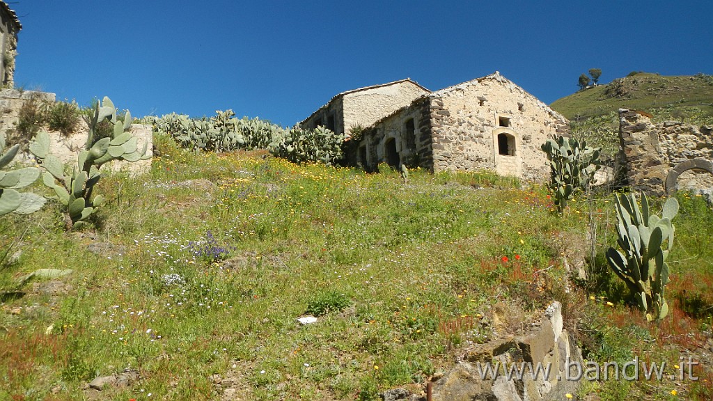 DSCN4630.JPG - Vizzini Exploring