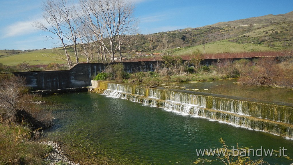 DSCN8798.JPG -                                