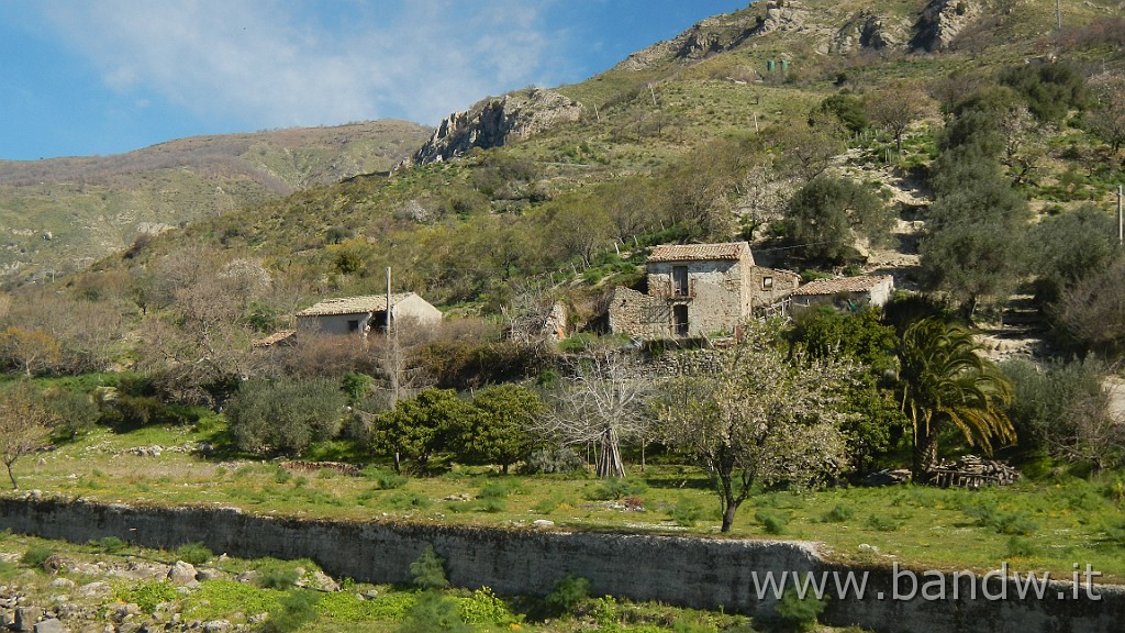 DSCN8800.JPG -                                