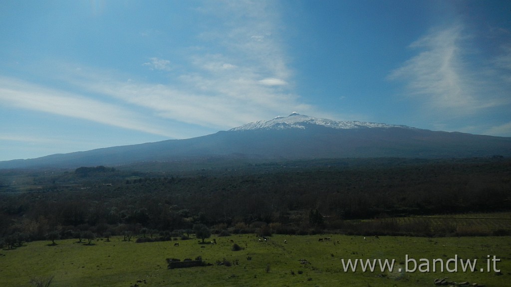 DSCN8805.JPG -                                