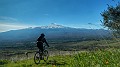 DSCN8795-01