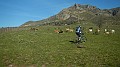 DSCN8797