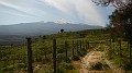 DSCN8802
