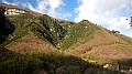 DSCN8452