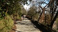 DSCN8453