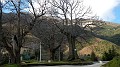 DSCN8454