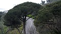 DSCN8551