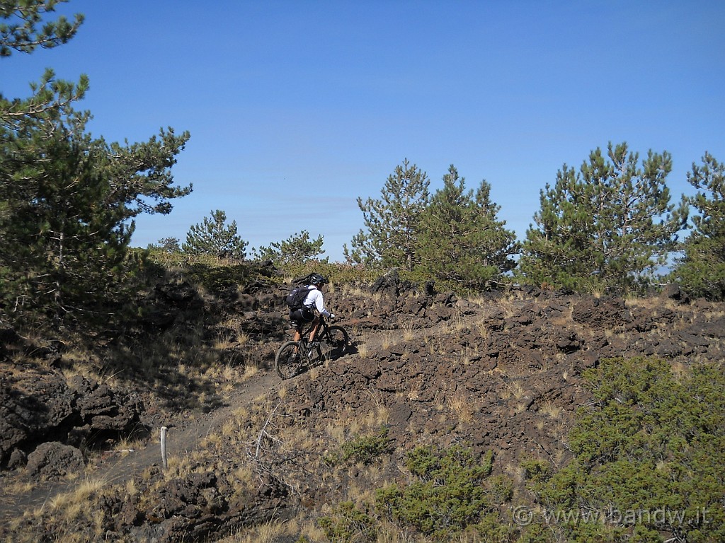 DSCN6678.JPG -           